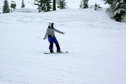 Alta Val Badia (146), Claudia R (45), Sci Alpino (290)